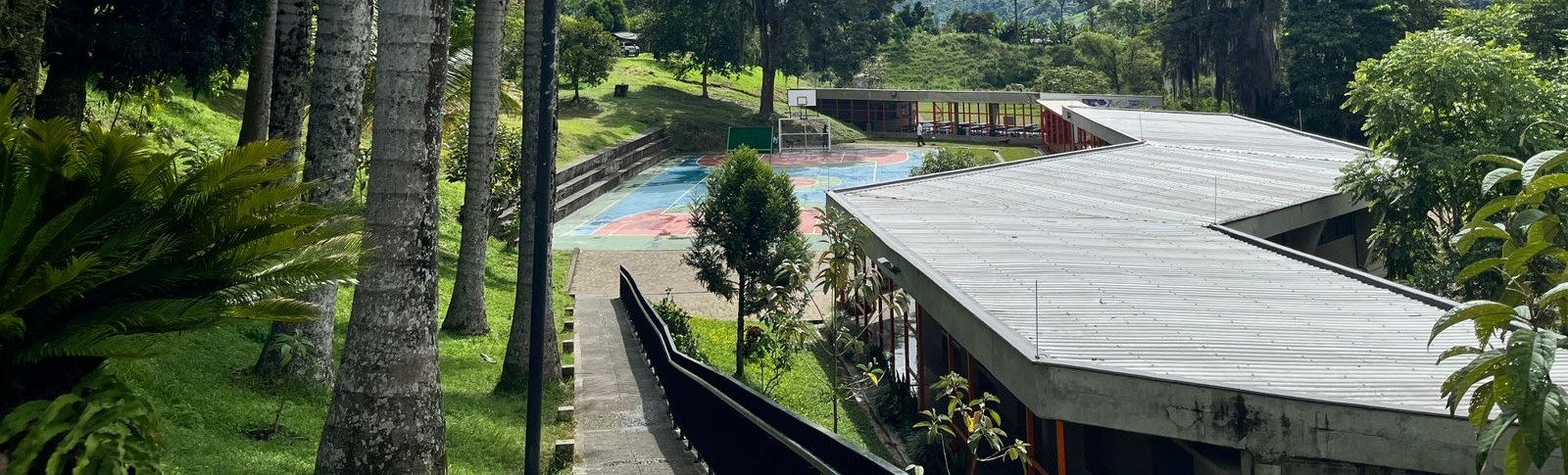 El Colegio.